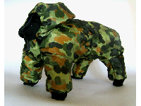 bitte darauf klicken